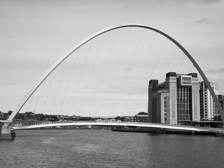 Newcastle Museum